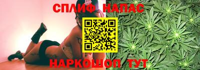 крисы Волгодонск
