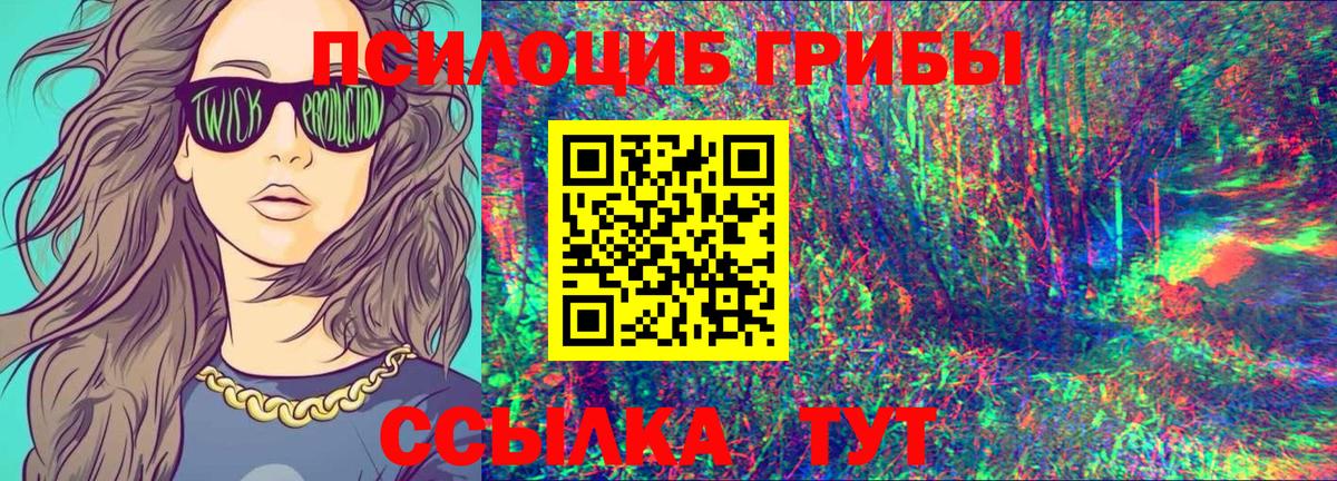 Псилоцибиновые грибы Psilocybe  Гусиноозёрск 