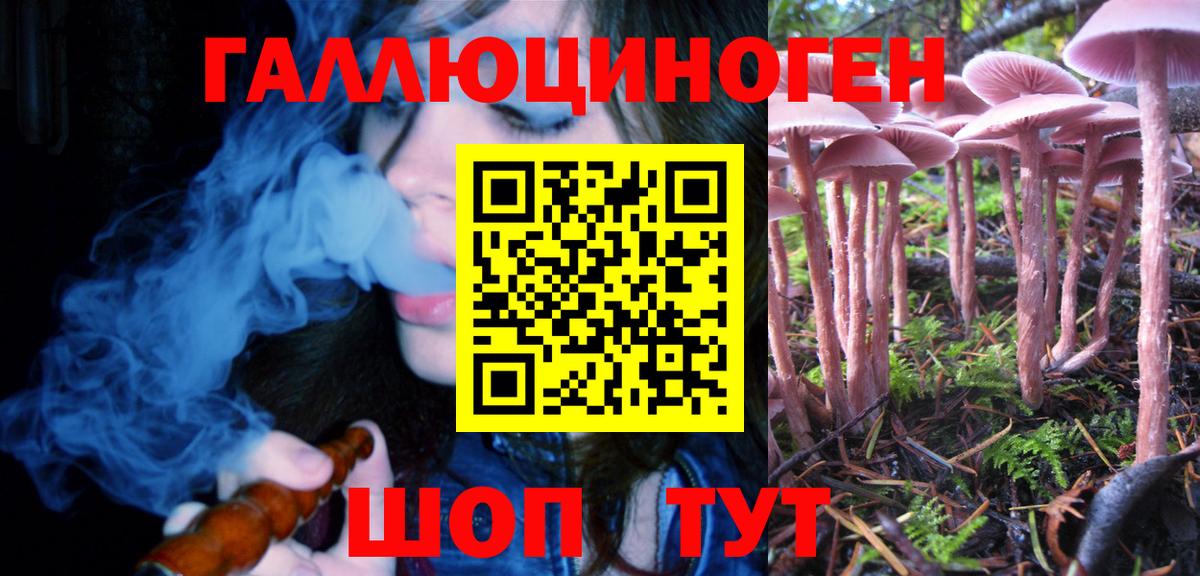 что такое   Галлюциногенные грибы мухоморы  Вход с VPN  Гусиноозёрск 