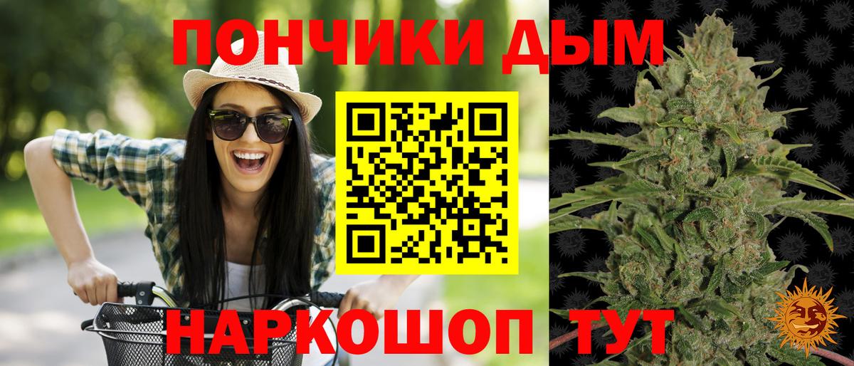 Бошки марихуана марихуана Гусиноозёрск